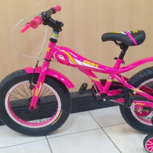 Bicicleta FAT BIKE SBK R16